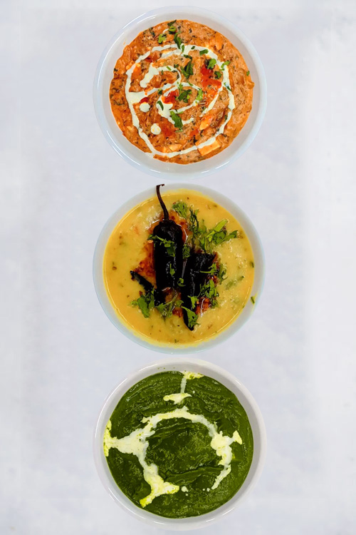 food_web1